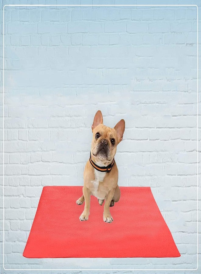 Trance Waterproof Pet Training Pads | Reusable Pee Pad for Dogs Cats Puppy and Pets | Washable Pet Dry Sheet | Potty Trainer | Soft and Hypo-Allergenic (Large, Size 1.4 x 1 m | 140 x 100 Cms, Coral) - Image 3
